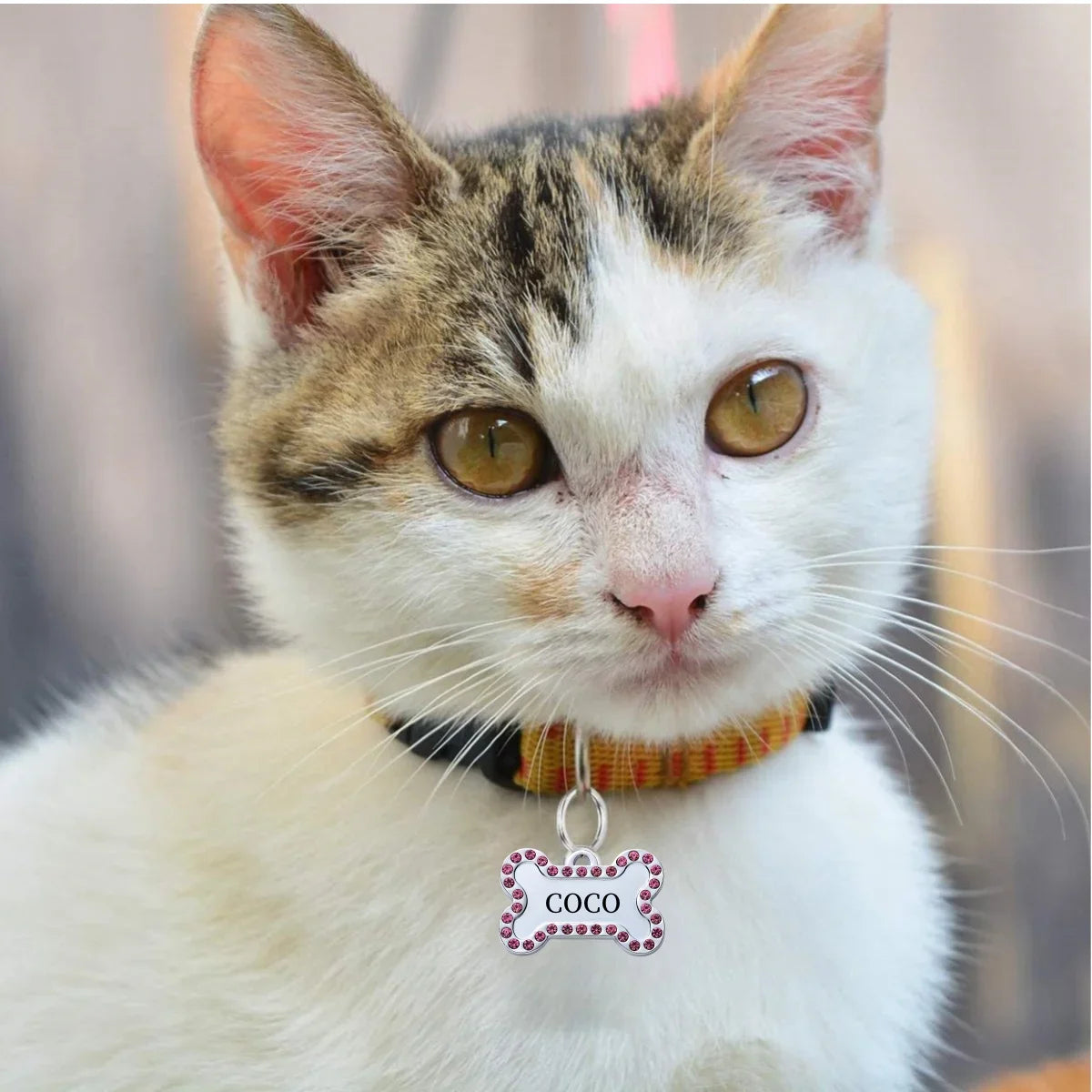 VIP Customizable Engraved Pets ID Tag for Dog Cat Bronze Nameplate Tags Personalized  Address Number Dogs Collar ID Pendant